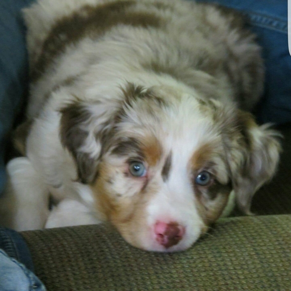 Meet your Posher, Mary beth - Picture 1 of 1